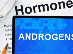 Rối Loạn Nội Tiết Tố Ở Nữ Giới - Ảnh Hưởng Của Nội Tiết Tố Androgen